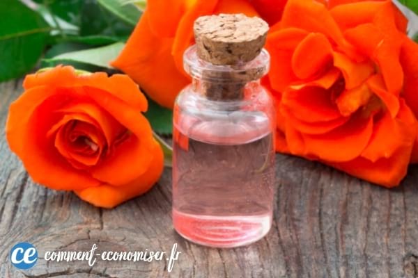 Un flocon d'eau de rose devant des roses rouges.