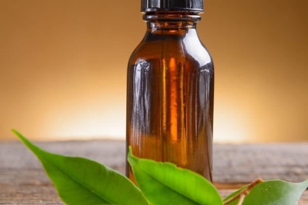 Un flacon d'huile essentielle de camphre posé sur une table pour faire fuir les mouches