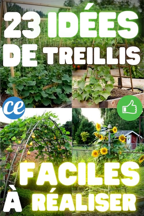 23 Super Idées De Treillis Pour Vos Plantes (Faciles Et Rapides à Faire).