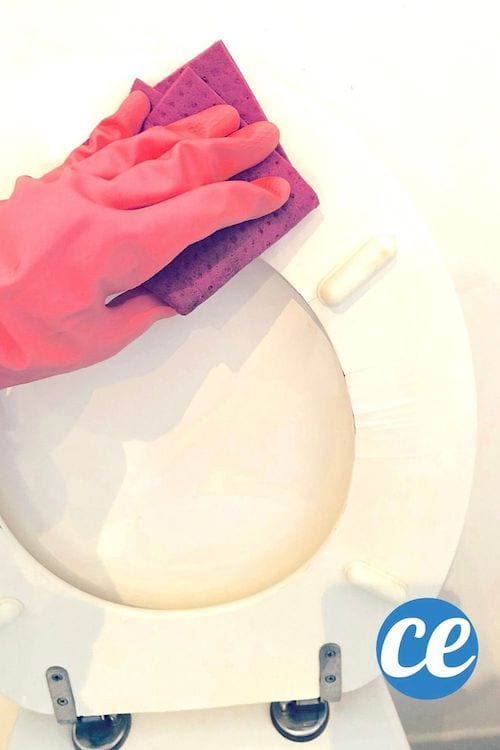 Essuyer la lunette des WC avec un chiffon humide