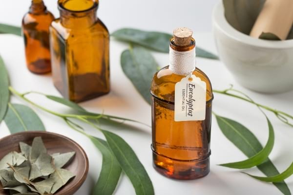 Plusieurs flacons d'huile essentielle d'eucalyptus posés sur une table