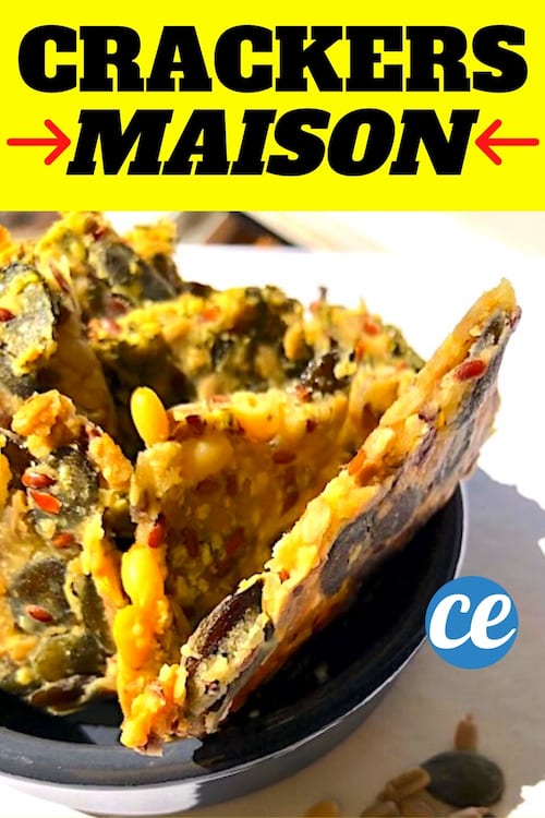 Un bol de crackers aux graines faits maison végétariens croustillants