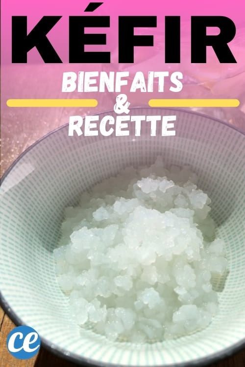 grains de kéfir d'eau dans un bol