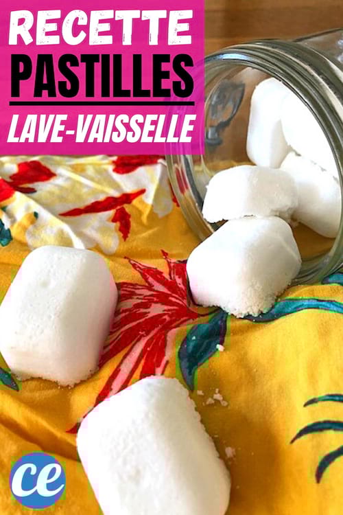 bocal avec pastilles pour lave-vaisselle faites maison