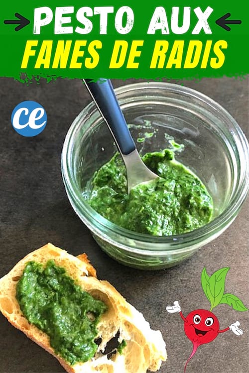 recette de pesto maison dans un pot en verre avec un toast de pain