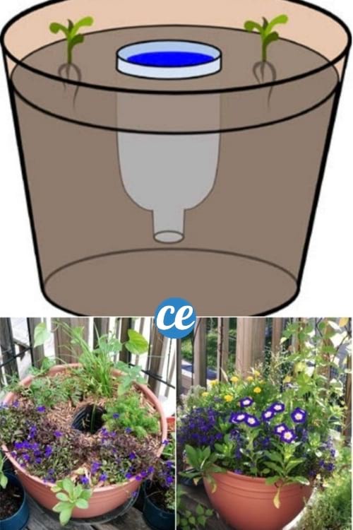 système irrigation maison pot de fleurs