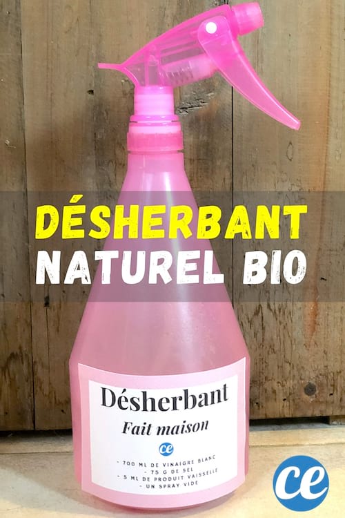 Un spray rose de désherbant bio avec des ingrédients naturels devant bois