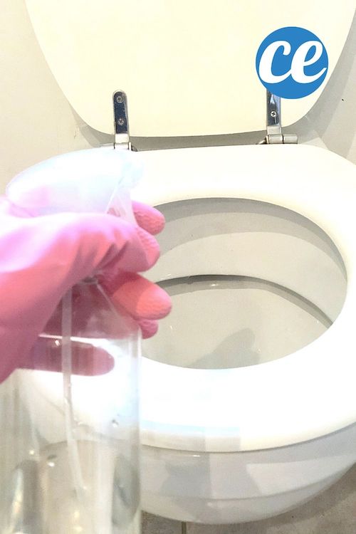 Lunette des WC Sale et Jaunie ? Comment Bien la Nettoyer Facilement.