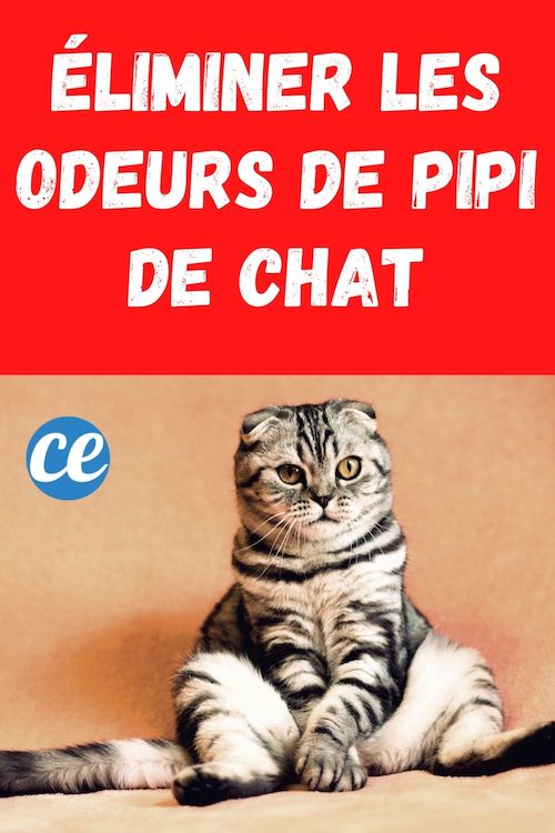 Comment Lutter Contre l