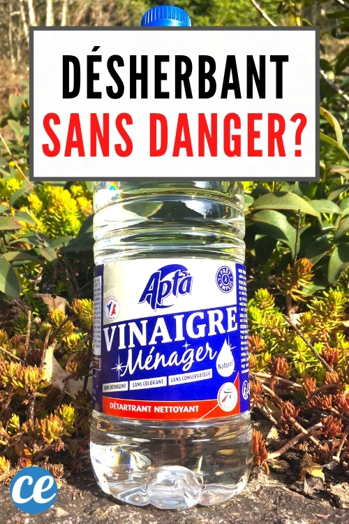 Acide Acétique Blanc 20% – Nettoyant Concentré 10L – Pour Patio, Allées, Gravier, Tarmac – Biodégradable Et Polyvalent