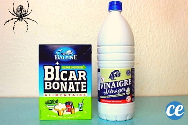 Une bouteille de vinaigre ménager et du bicarbonate alimentaire pour des piqûres d'insecte