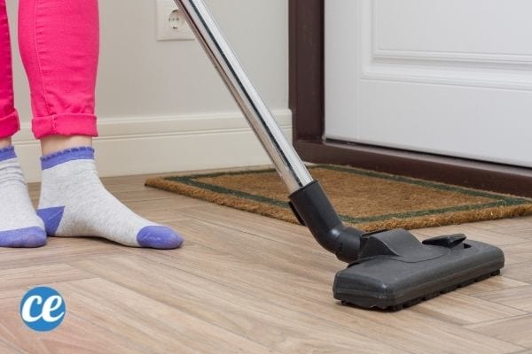 Vous pouvez éliminer les punaises vertes et punaises diaboliques avec votre aspirateur.