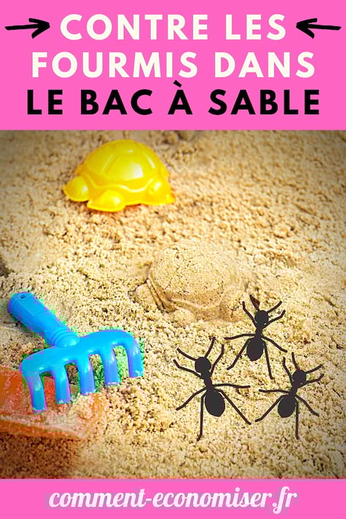 Éliminer les fourmis dans le bac à sable grâce au bicarbonate de soude