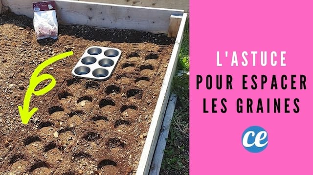 L'Astuce de Jardinier Pour Espacer les Graines au Potager PARFAITEMENT.