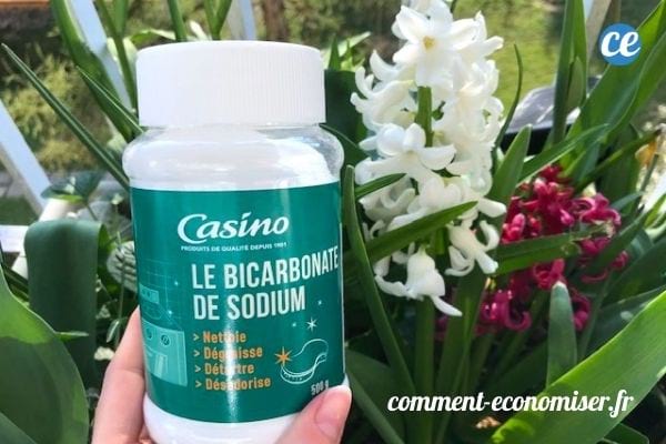 Du bicarbonate de soude devant un jardin en fleur.