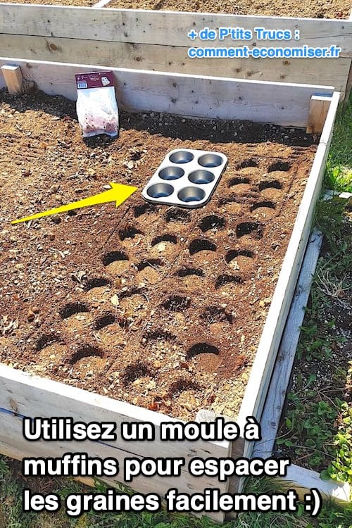 comment bien espacer les graines ou bulbes dans le jardin