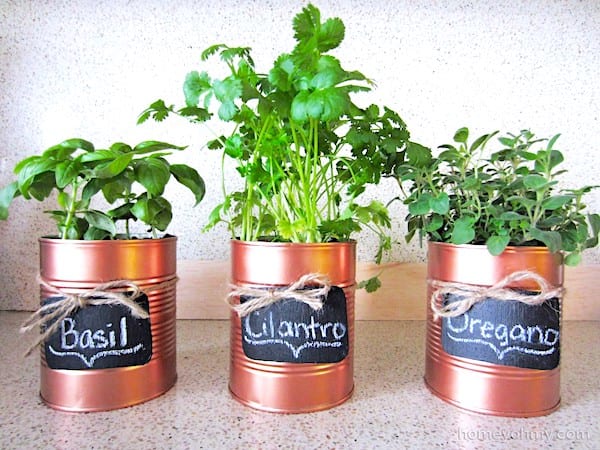 Des boites de conserves recyclées en pot pour les herbes aromatiques