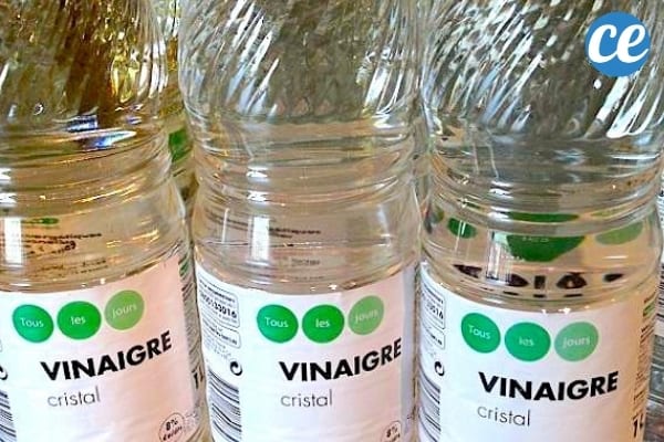 Trois bouteille de vinaigre ménager pour faire briller la maison