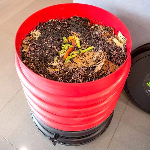Un lombricomposteur rouge placé dans la cuisine acheté pas cher