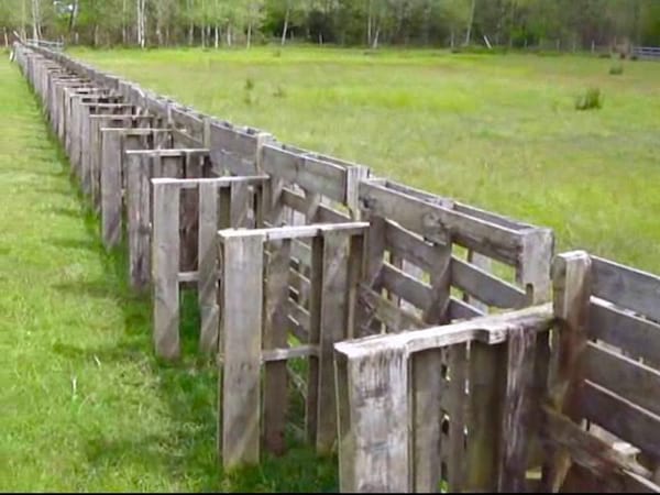 A wood pallet fence strong enough to hold farm animals.