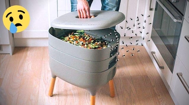 un lombricomposteur plein de moucherons en ouvrant le couvercles