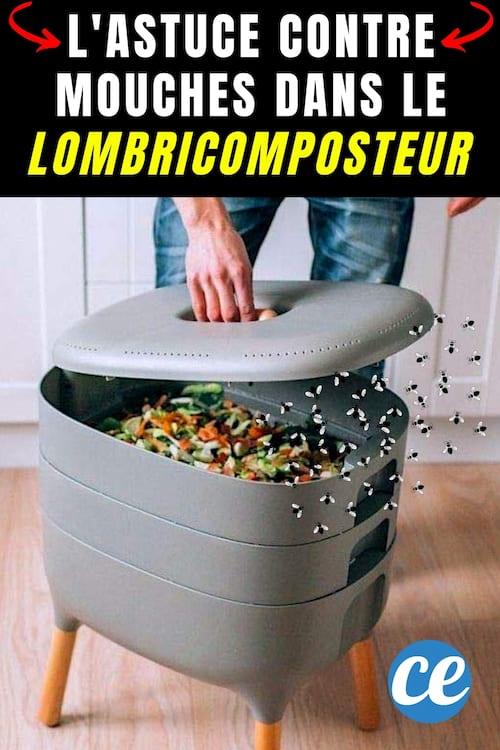 comment se débarrasser des mouches dans le lombricomposteur