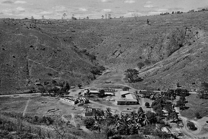 Le terrain de sebastioa salgado sans arbres à cause de la déforestation