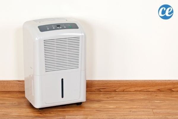 Un déshumidificateur aide à repousser les punaises vertes et punaises diaboliques.