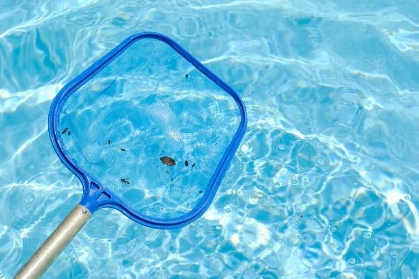 Epuisette pour enlever les saletés de l'eau d'une piscine