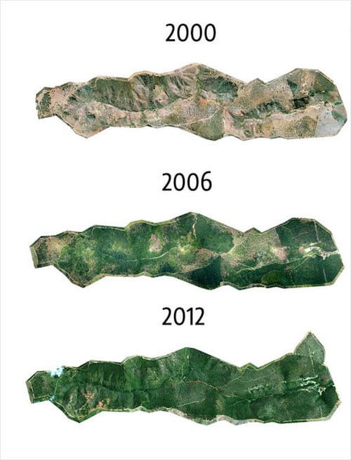 évolution de la forêt amazonienne de 2000 à 2012