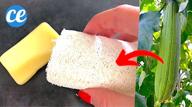 Une éponge luffa dans la main avec du savon pour faire la vaisselle au naturel