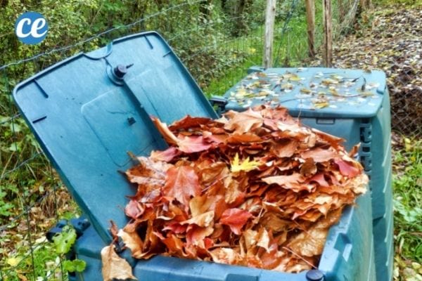 Ajoutez les feuilles mortes à votre compost.
