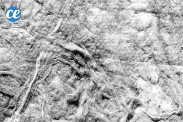 Le feutre géotextile empêche les mauvaises herbes de pousser dans votre jardin.