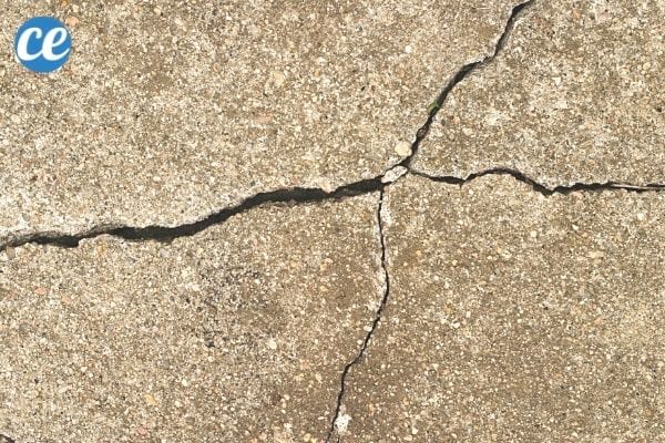 Les punaises s'introduisent dans les maisons par des fissures et autres ouvertures dans les murs extérieurs.