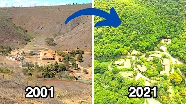 Le terrain de sebastioa salgado sans arbres en 2001 puis avec des arbres en 2019