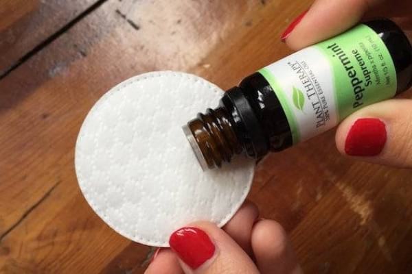 Huiles essentielles dans un coton pour tuer les bactéries