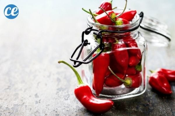 Des piments forts dans un bocal pour éliminer les punaises vertes et punaises diaboliques.
