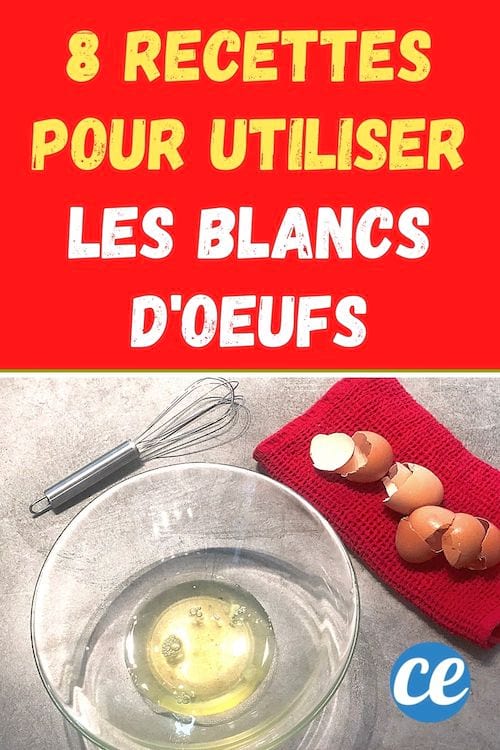 Des blancs d'oeufs dans un saladier avec des coquilles d'oeufs sur un torchon rouge