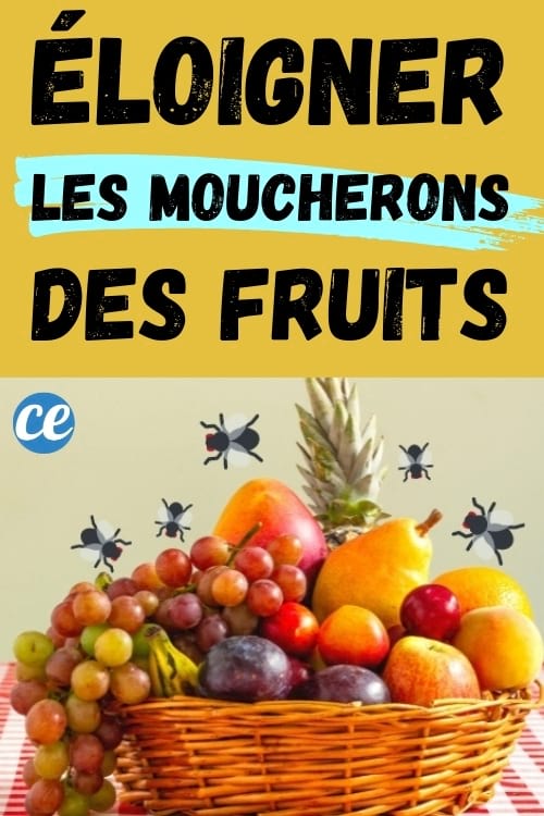 panier de fruits avec moucherons : astuce pour les éloigner