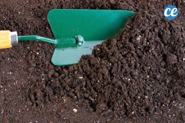 Travaillez la terre lorsqu'elle est bien friable comme ici.