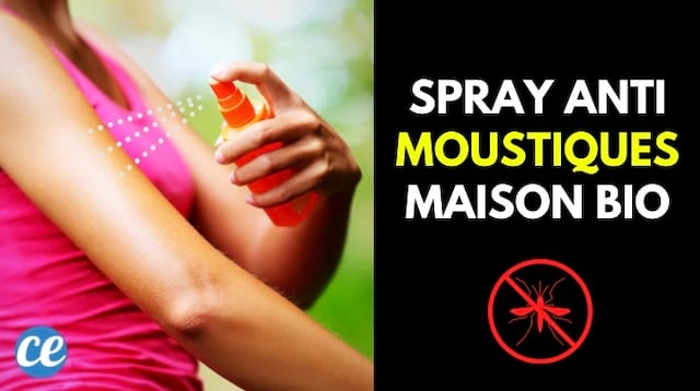 Fabriquez Votre Spray Anti Moustiques Bio En 30 Secs Pour Seulement 1 Euro 