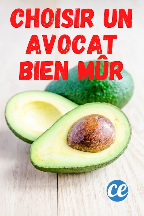 Comment Bien Choisir Les Avocats L Astuce Prouv E