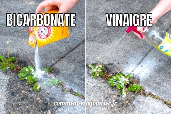 Désherbant Bicarbonate De Soude Et Vinaigre Blanc Le Bicarbonate de Soude : Un Désherbant 100% Naturel et Efficace