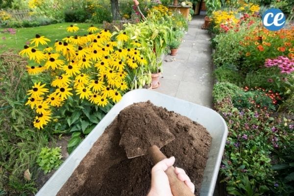 Le moyen le plus simple d'améliorer le drainage de votre jardin est d'ajouter une bonne couche de terre. 