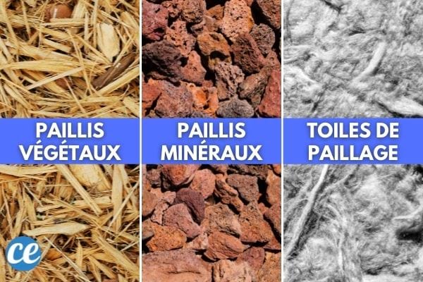 Les 3 types de paillis : végétaux, minéraux et toiles de paillage.