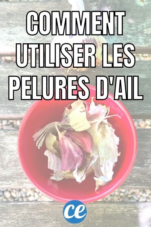 comment utiliser les pelures d'ail au jardin