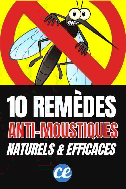 Voici comment éloigner les moustiques avec 10 ingrédients 100% naturels.