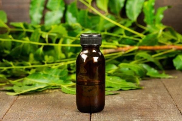 L'huile végétale de neem fair fuire les moustiques.