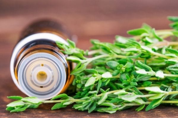 Quelle odeur repousse les moustiques ? L'huile essentielle de thym.
