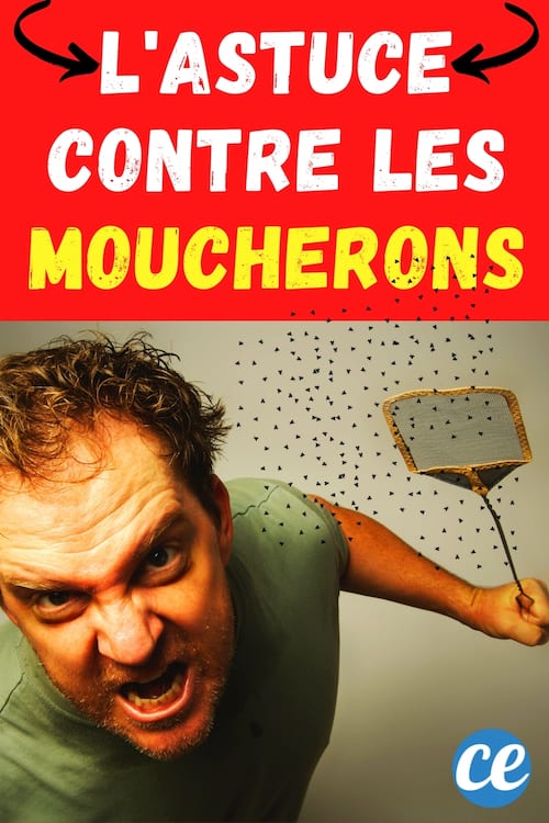 Un homme qui essaie de tuer les moucherons autour de lui 